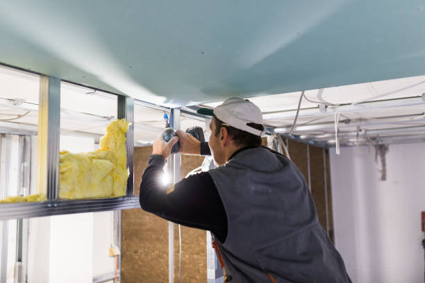 Best Blown-in Insulation in South Gull Lake, MI