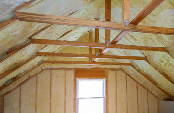 Best Cellulose Insulation in South Gull Lake, MI