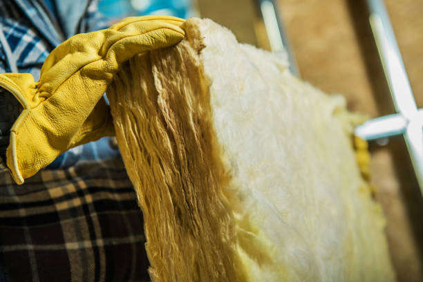 Best Eco-Friendly Insulation in South Gull Lake, MI