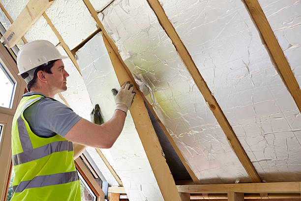 Best Geographic-Specific Insulation Services in South Gull Lake, MI